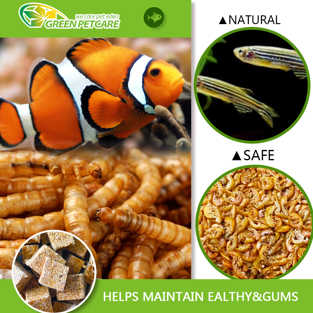 Manufacture wholesale Freeze dried Mealworm manufacture